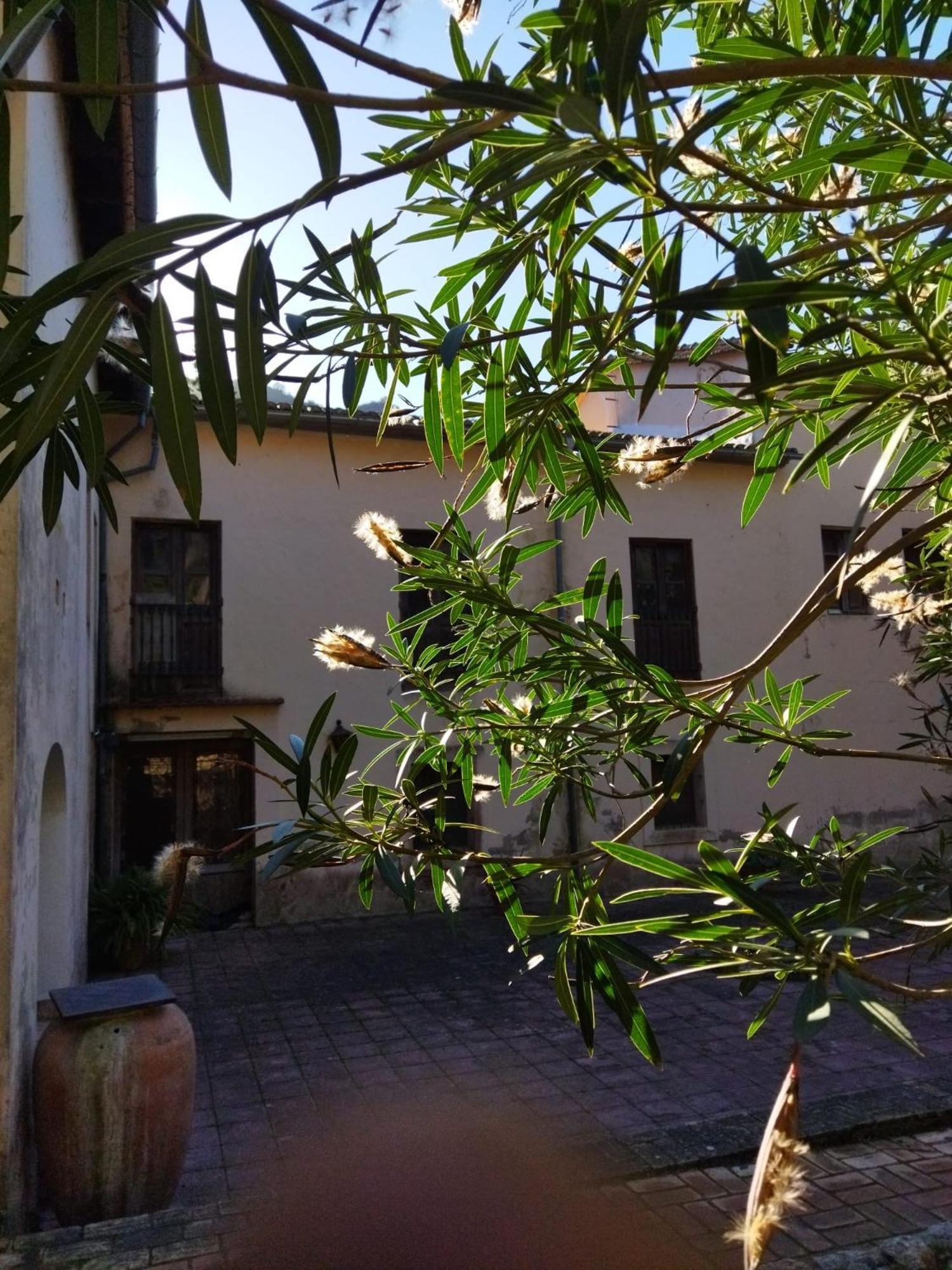 Casa Bienvenida - Carcaixent Bed and Breakfast Exteriör bild